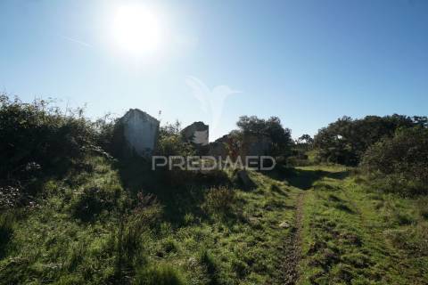 Herdade com 71 hectares e ruína de 174m2