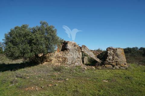 Herdade com 71 hectares e ruína de 174m2