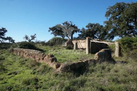 Herdade com 71 hectares e ruína de 174m2