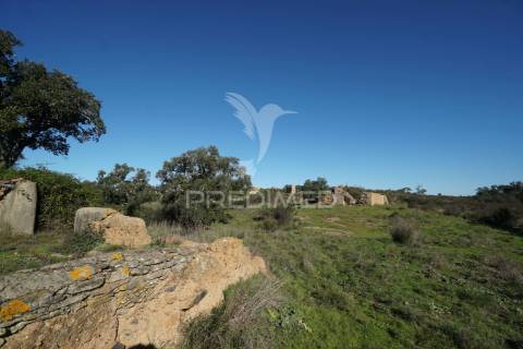 Herdade com 71 hectares e ruína de 174m2