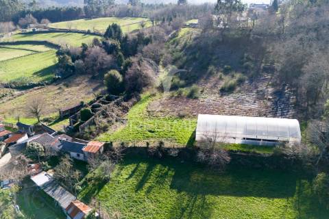 Quinta com casa 300m2 em serzedelo, póvoa de lanhoso, braga