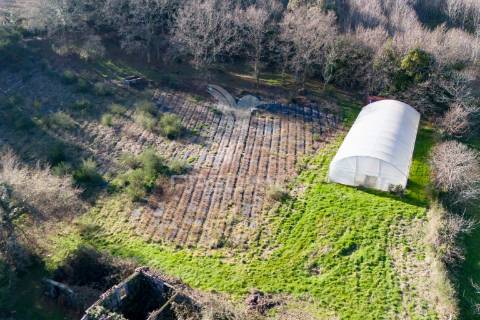 Quinta com casa 300m2 em serzedelo, póvoa de lanhoso, braga