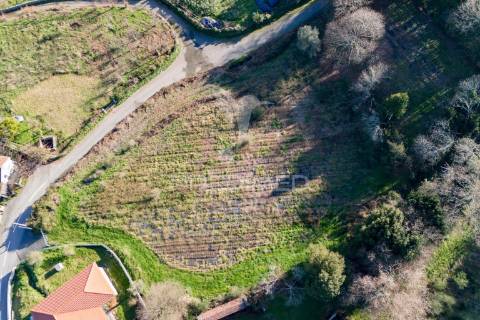 Quinta com casa 300m2 em serzedelo, póvoa de lanhoso, braga