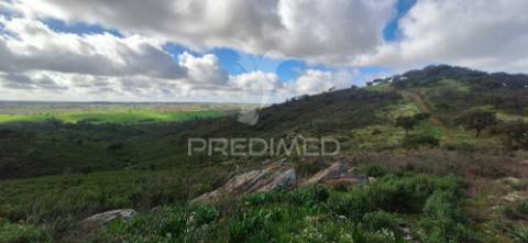 Vende-se herdade – 34 hectares