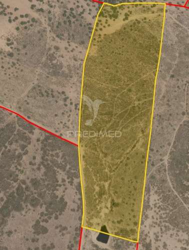 Vende-se herdade – 34 hectares