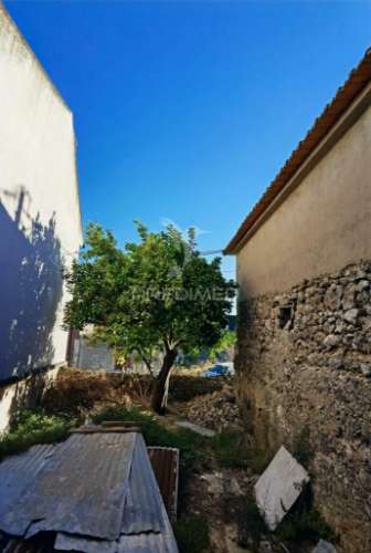 Excelente oportunidade de negócio, pavilhão para seu projeto agrícola.