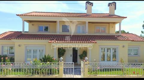 Oportunidade de negócio