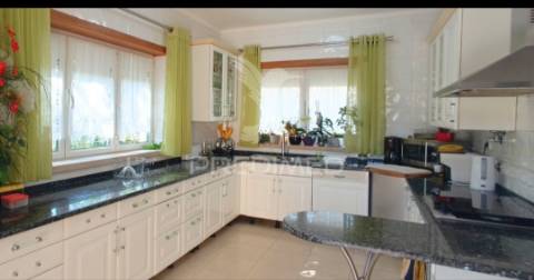 Oportunidade de negócio