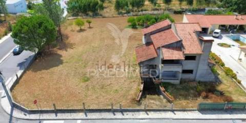 Oportunidade de negócio