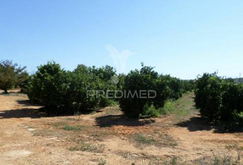 Quarteira - terreno com projeto aprovado/land with with approved project