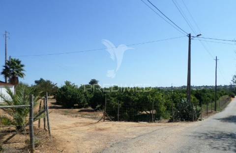 Quarteira - terreno com projeto aprovado/land with with approved project