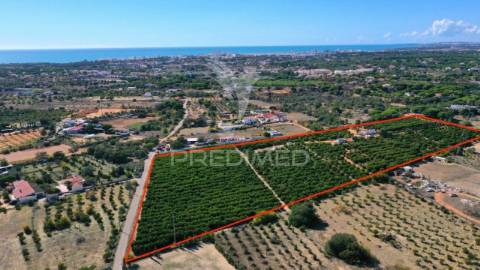 Quarteira - terreno com projeto aprovado/land with with approved project