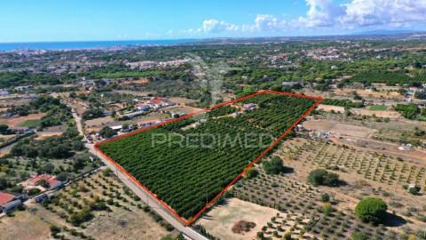 Quarteira - terreno com projeto aprovado/land with with approved project