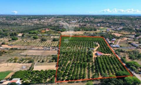 Quarteira - terreno com projeto aprovado/land with with approved project