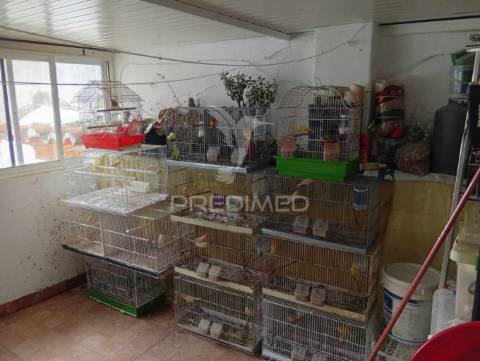 Apartamento em portalegre