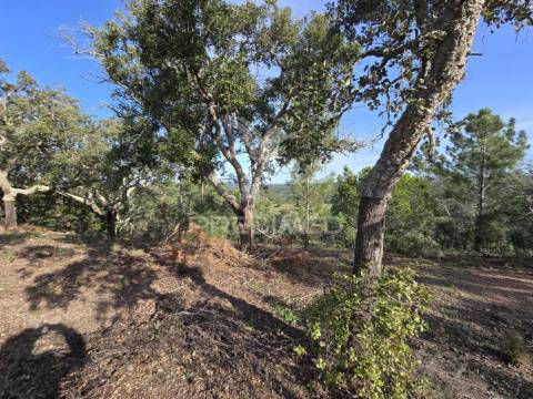 Terreno de  12,65 hectares - zona de vale figueira/melides - grândola