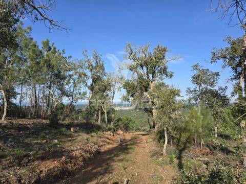 Terreno de  12,65 hectares - zona de vale figueira/melides - grândola