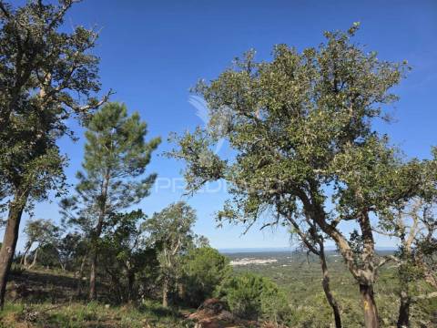 Terreno de  12,65 hectares - zona de vale figueira/melides - grândola