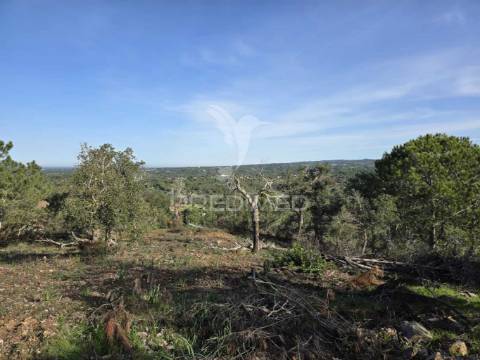 Terreno de  12,65 hectares - zona de vale figueira/melides - grândola