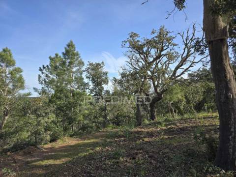 Terreno de  12,65 hectares - zona de vale figueira/melides - grândola