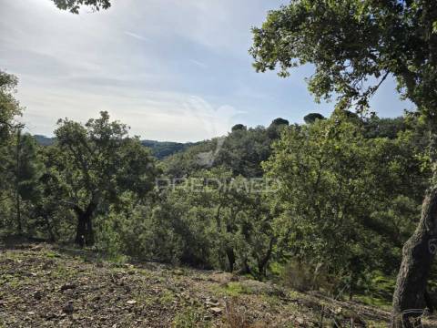 Terreno de  12,65 hectares - zona de vale figueira/melides - grândola
