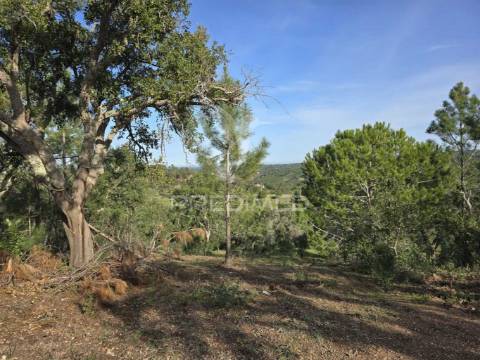 Terreno de  12,65 hectares - zona de vale figueira/melides - grândola