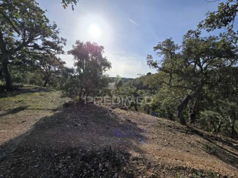 Terreno de  12,65 hectares - zona de vale figueira/melides - grândola
