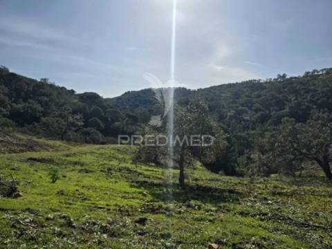 Terreno de  12,65 hectares - zona de vale figueira/melides - grândola
