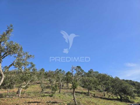 Terreno de  12,65 hectares - zona de vale figueira/melides - grândola