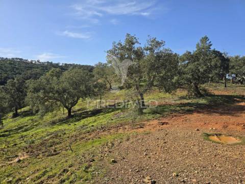 Terreno de  12,65 hectares - zona de vale figueira/melides - grândola