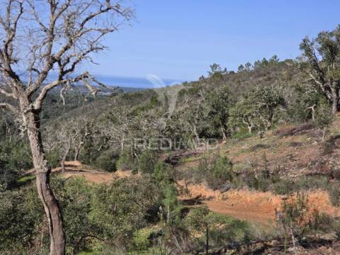 Terreno de  12,65 hectares - zona de vale figueira/melides - grândola