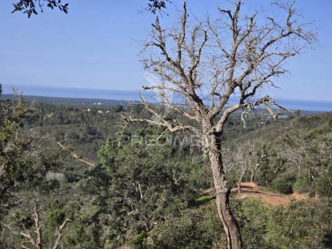 Terreno de  12,65 hectares - zona de vale figueira/melides - grândola