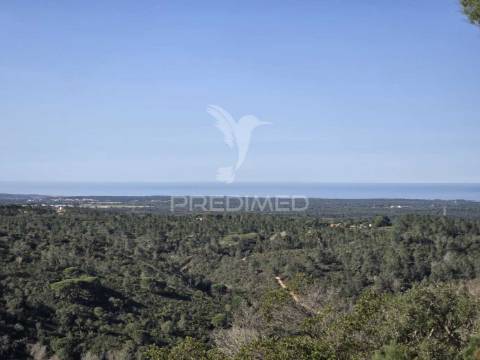 Terreno de  12,65 hectares - zona de vale figueira/melides - grândola