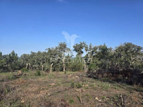 Terreno de  12,65 hectares - zona de vale figueira/melides - grândola
