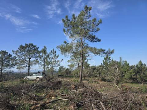 Terreno de  12,65 hectares - zona de vale figueira/melides - grândola