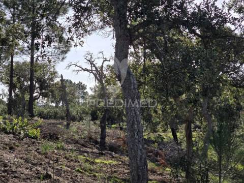 Terreno de  12,65 hectares - zona de vale figueira/melides - grândola