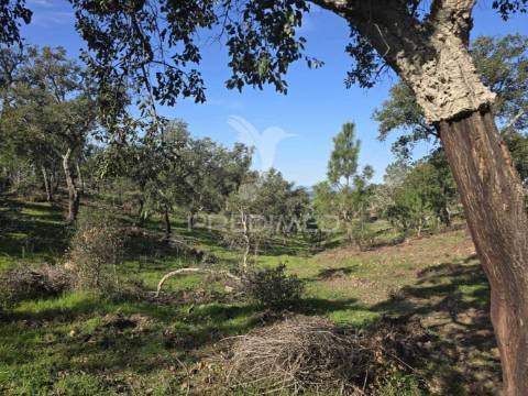 Terreno de  12,65 hectares - zona de vale figueira/melides - grândola