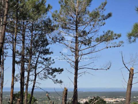 Terreno de  12,65 hectares - zona de vale figueira/melides - grândola