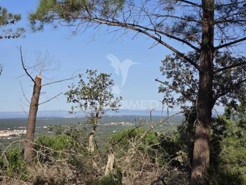 Terreno de  12,65 hectares - zona de vale figueira/melides - grândola