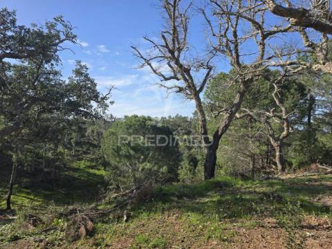 Terreno de  12,65 hectares - zona de vale figueira/melides - grândola