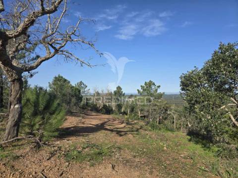 Terreno de  12,65 hectares - zona de vale figueira/melides - grândola