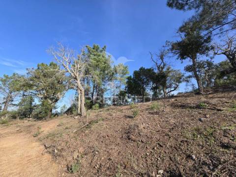 Terreno de  12,65 hectares - zona de vale figueira/melides - grândola