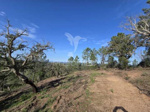 Terreno de  12,65 hectares - zona de vale figueira/melides - grândola