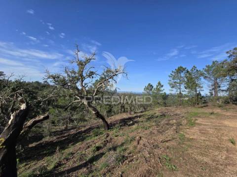 Terreno de  12,65 hectares - zona de vale figueira/melides - grândola