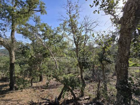 Terreno de  12,65 hectares - zona de vale figueira/melides - grândola