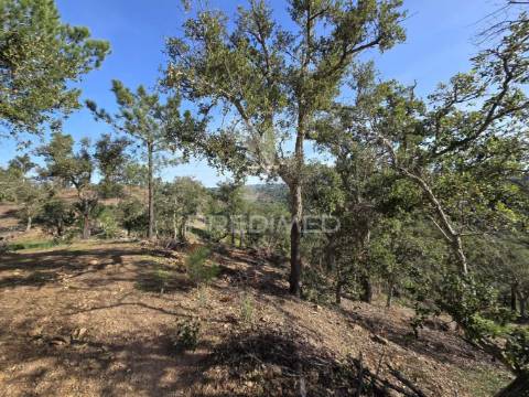 Terreno de  12,65 hectares - zona de vale figueira/melides - grândola