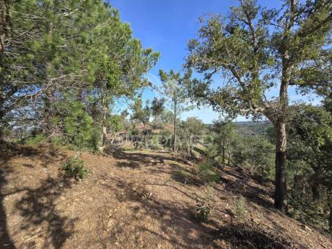 Terreno de  12,65 hectares - zona de vale figueira/melides - grândola