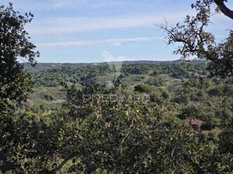 Terreno de  12,65 hectares - zona de vale figueira/melides - grândola
