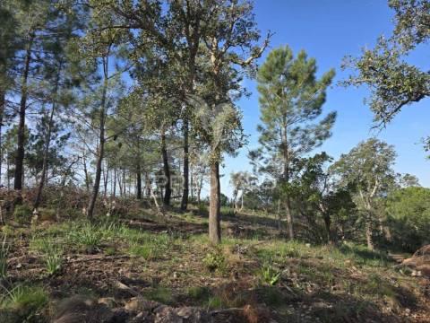 Terreno de  12,65 hectares - zona de vale figueira/melides - grândola