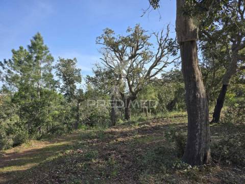 Terreno rústico - zona de vale figueira